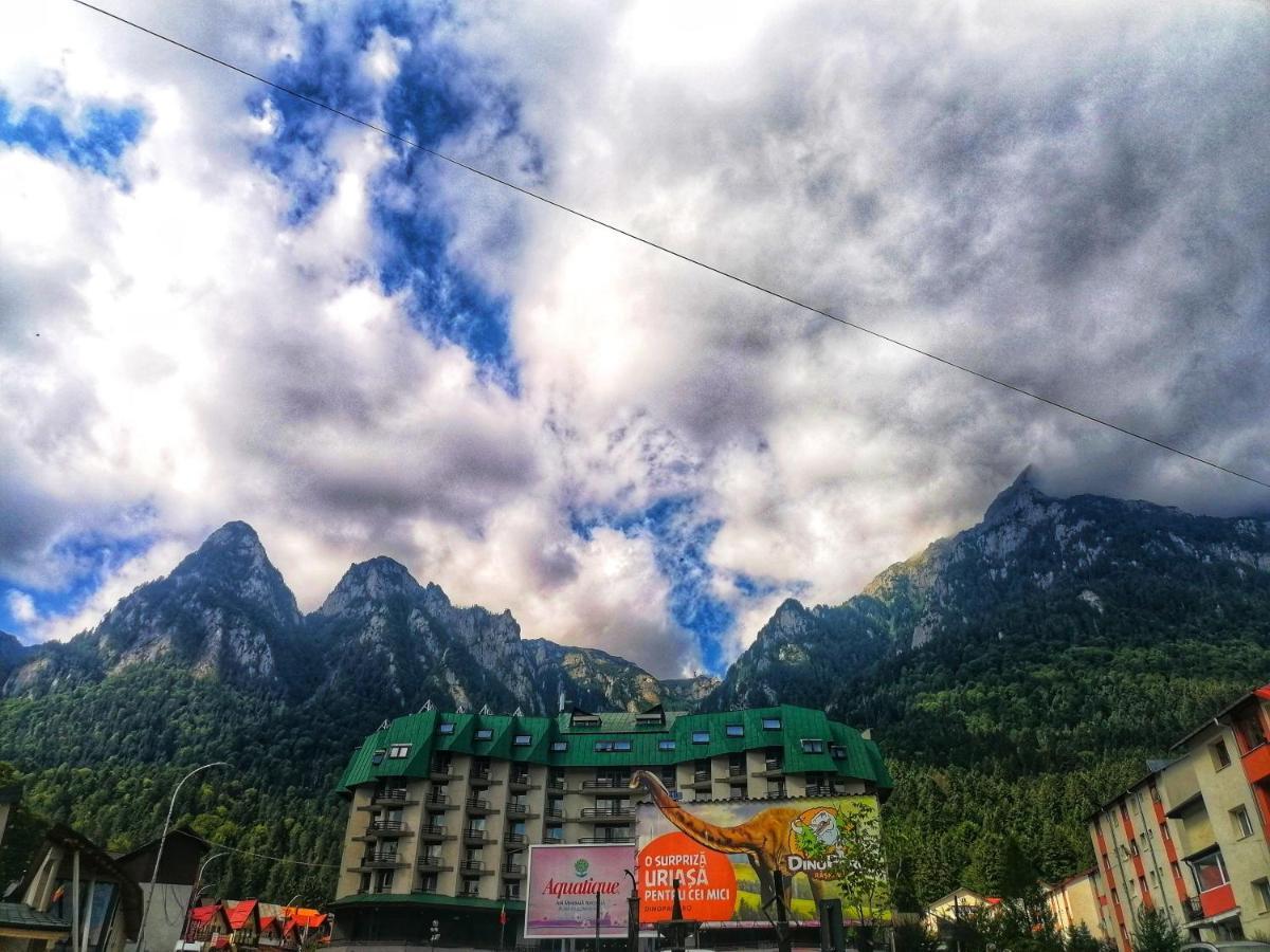 Apartamentul Alb Буштени Экстерьер фото