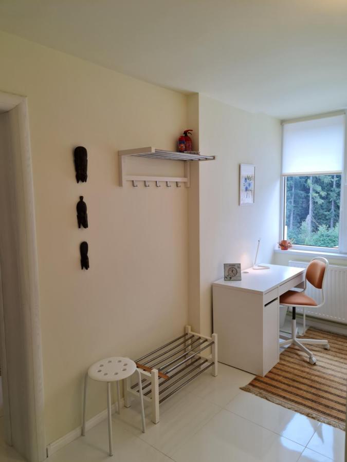 Apartamentul Alb Буштени Экстерьер фото